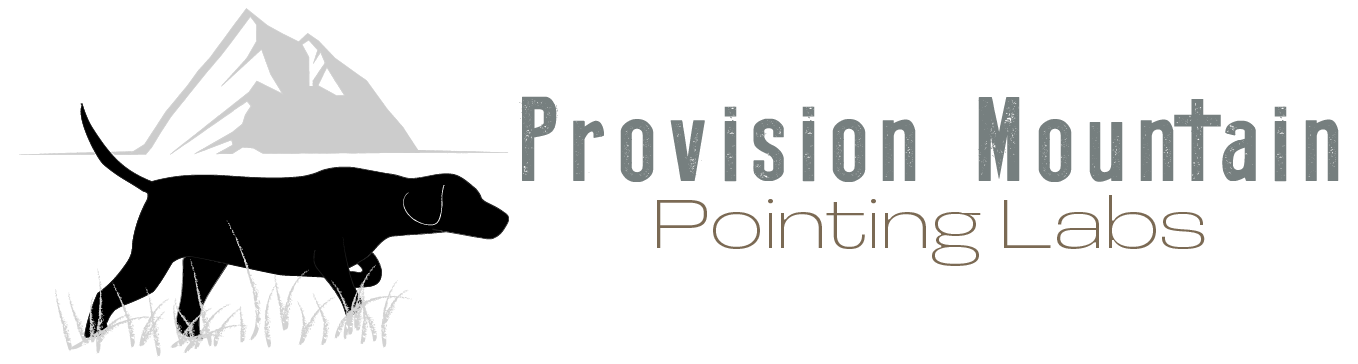 Provision Mountain Pointing Labs